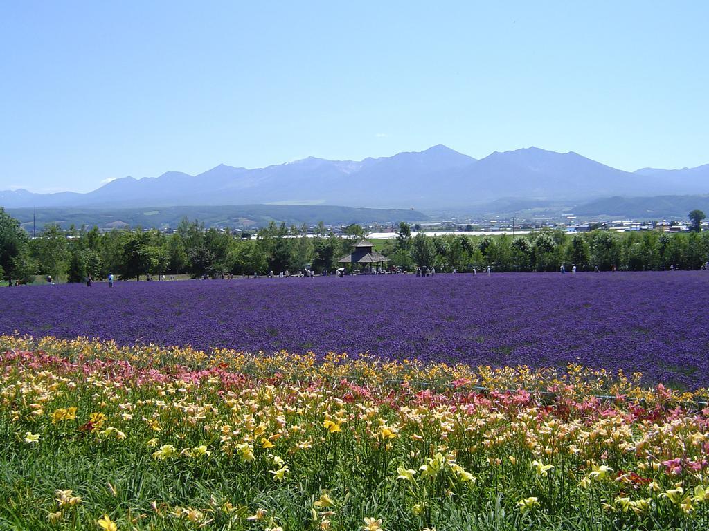 Furano Prince Hotel المظهر الخارجي الصورة